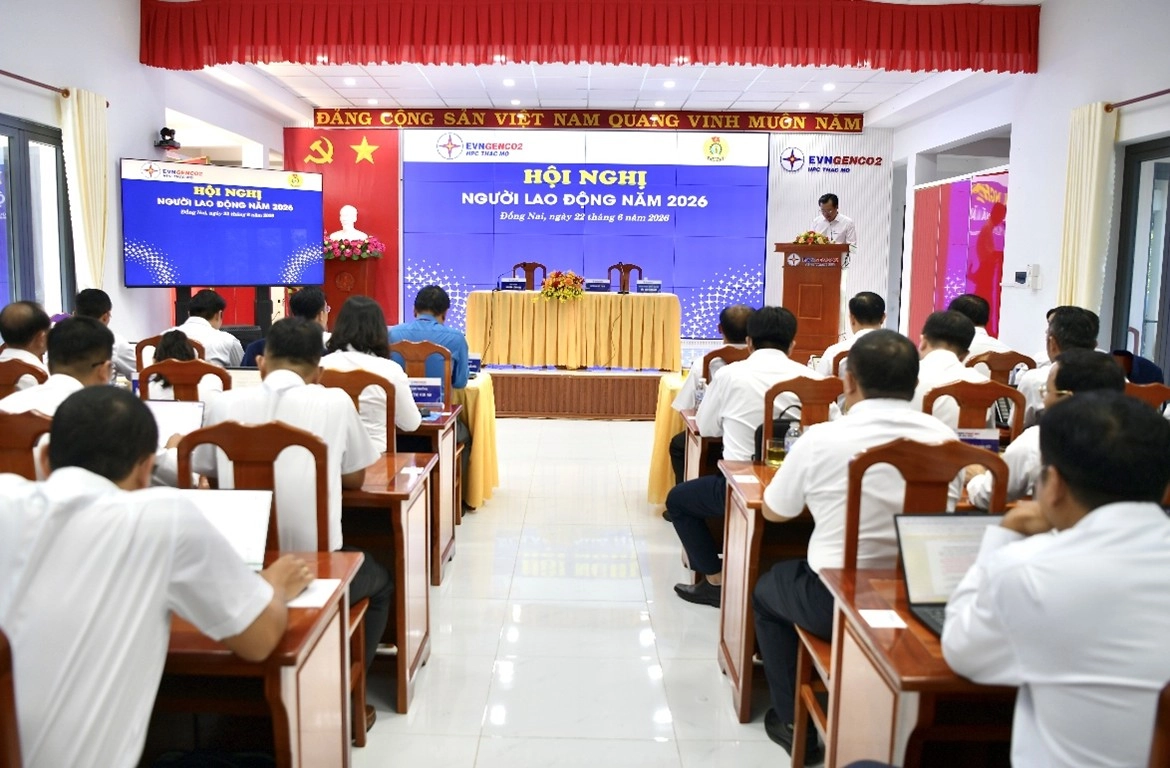 To&agrave;n cảnh HNNLĐ (1)
