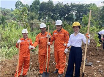 Thủy điện Thác Mơ hưởng ứng “Tết trồng cây - Đời đời nhớ ơn Bác Hồ” Xuân Bính Ngọ năm 2026