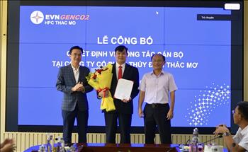 TMP kiện toàn chức danh Phó Tổng giám đốc, nâng cao năng lực điều hành trong giai đoạn mới