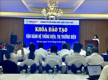 TMP và NSMO hợp tác đào tạo về vận hành hệ thống điện và thị trường điện