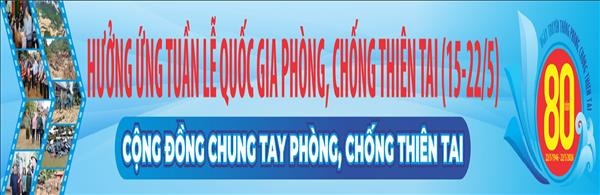 banner tet