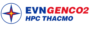 Logo Website